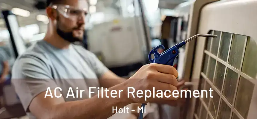AC Air Filter Replacement Holt - MI