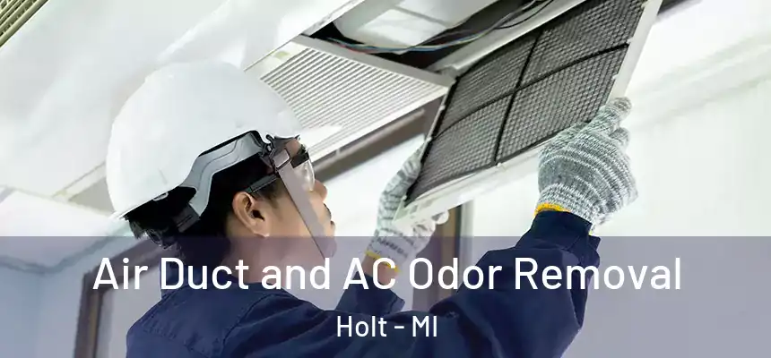 Air Duct and AC Odor Removal Holt - MI