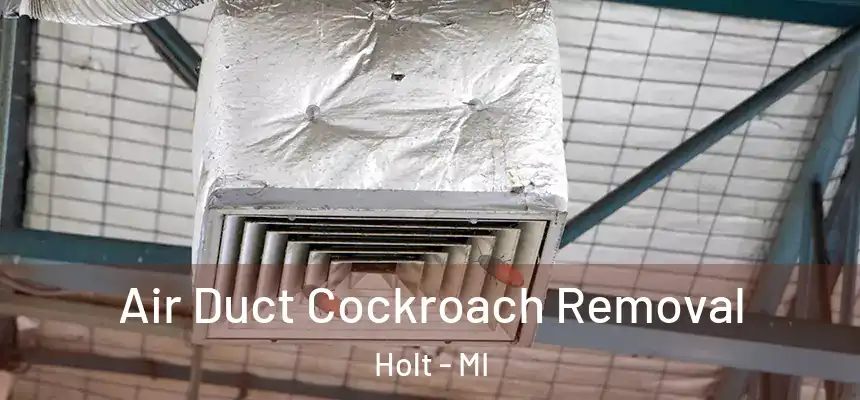 Air Duct Cockroach Removal Holt - MI