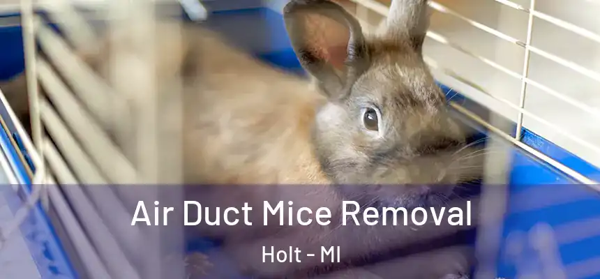Air Duct Mice Removal Holt - MI