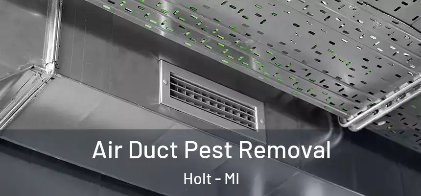 Air Duct Pest Removal Holt - MI