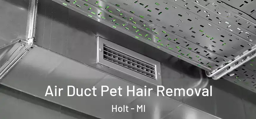 Air Duct Pet Hair Removal Holt - MI