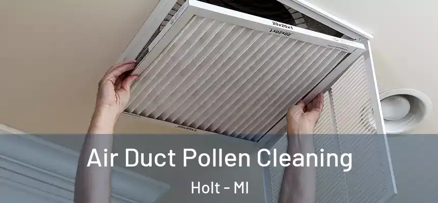 Air Duct Pollen Cleaning Holt - MI