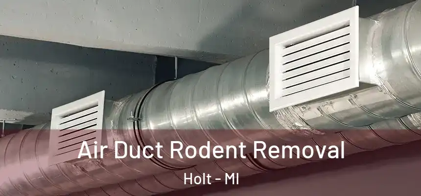 Air Duct Rodent Removal Holt - MI