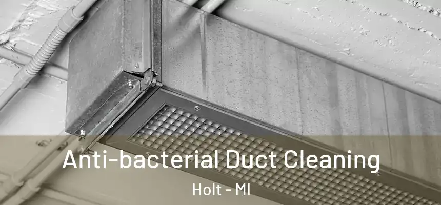 Anti-bacterial Duct Cleaning Holt - MI