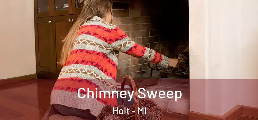 Chimney Sweep Holt - MI