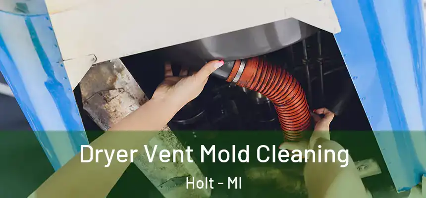 Dryer Vent Mold Cleaning Holt - MI