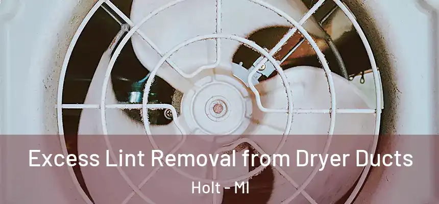  Excess Lint Removal from Dryer Ducts Holt - MI