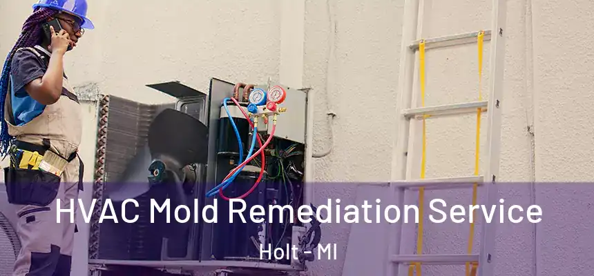  HVAC Mold Remediation Service Holt - MI