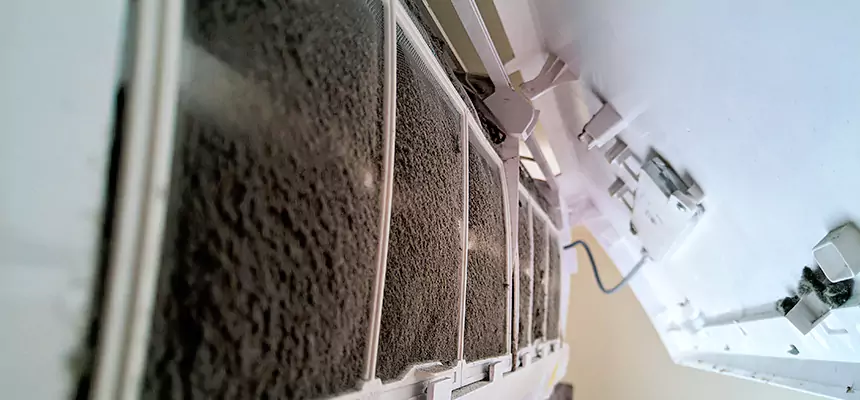 Preventive Air Duct Bacteria Removal in Holt