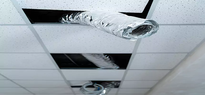 Affordable HVAC Sanitizing After Pest Removal in Holt