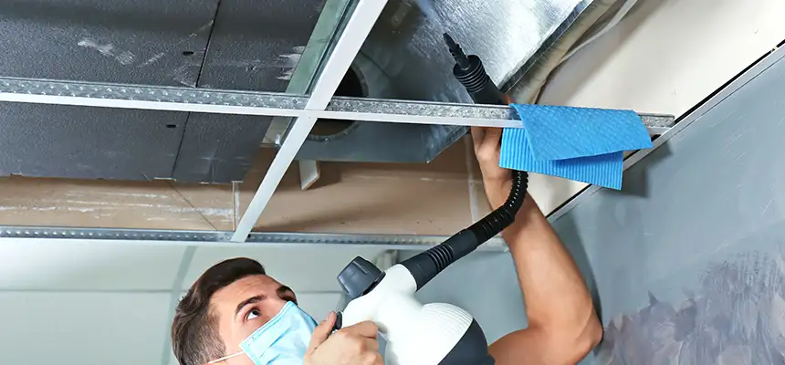 Our Air Duct Rodent Removal Services in Holt, MI