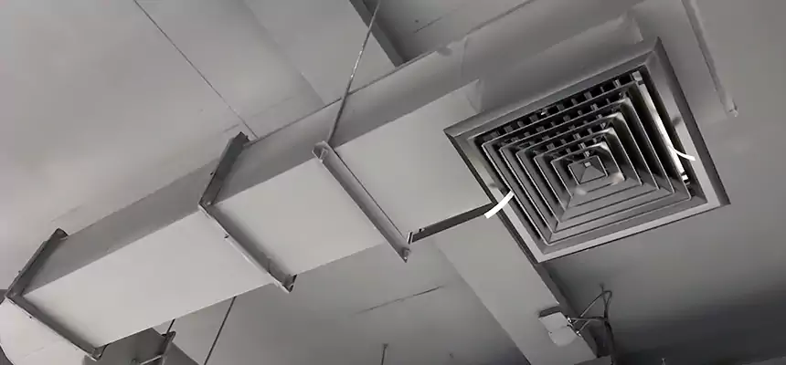 Our Pest Removal From Ducts Services in Holt, MI