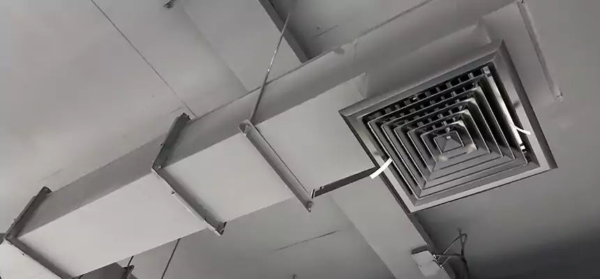 Our Rodent Droppings In Vents Services in Holt, MI