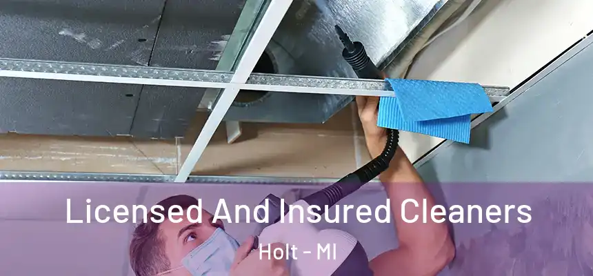Licensed And Insured Cleaners Holt - MI