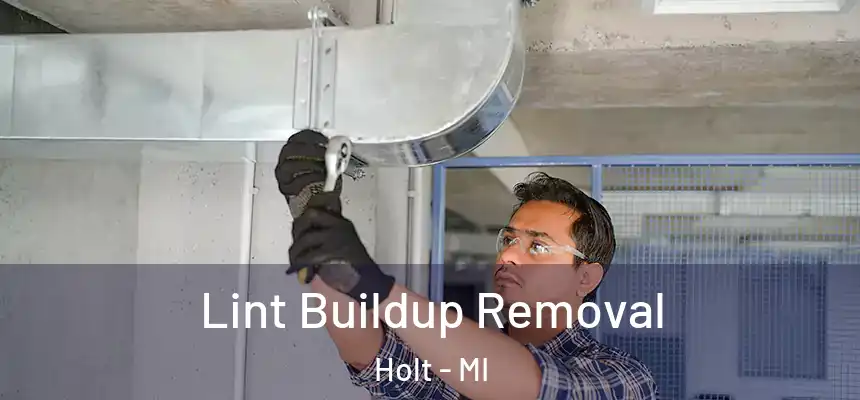 Lint Buildup Removal Holt - MI