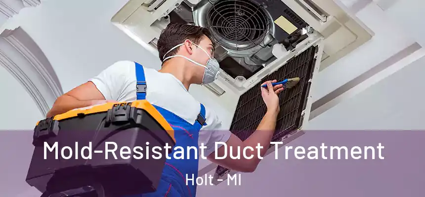 Mold-Resistant Duct Treatment Holt - MI
