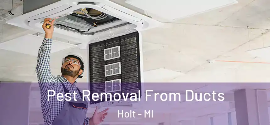 Pest Removal From Ducts Holt - MI