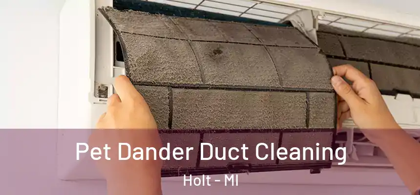 Pet Dander Duct Cleaning Holt - MI