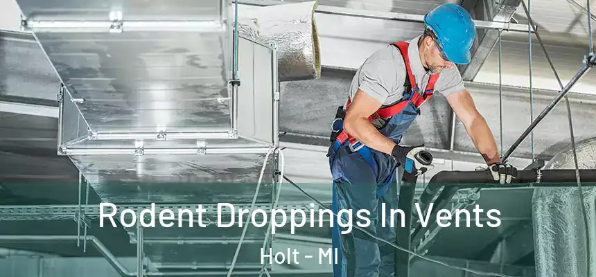  Rodent Droppings In Vents Holt - MI