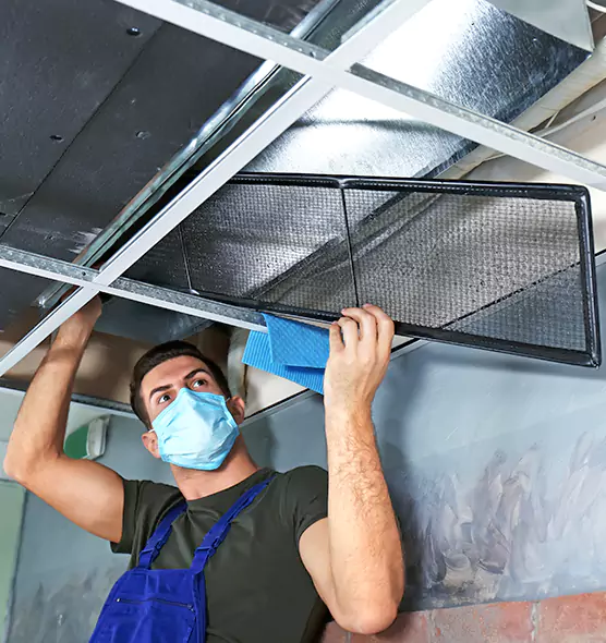 About Air Duct Bacteria Removal in Holt