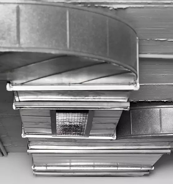 Professional Air Duct Pet Hair Removal in Holt, MI