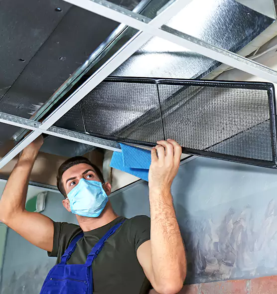 Professional Air Duct Pollen Cleaning in Holt, MI