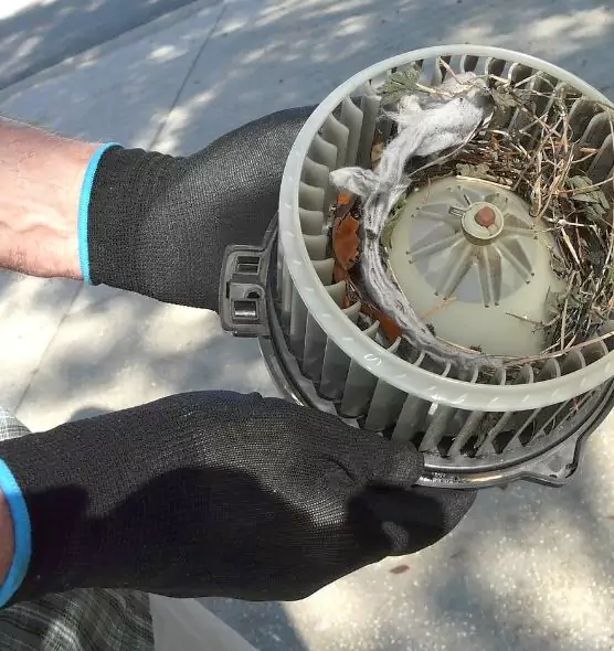 About Air Duct Rat Removal in Holt, MI