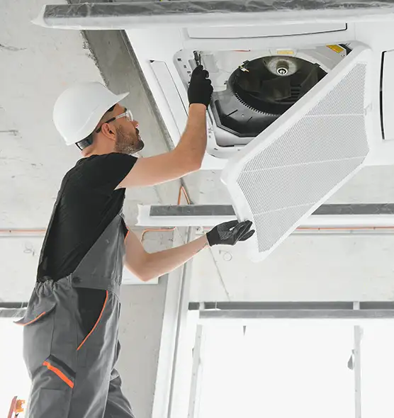 About Air Duct Rodent Removal in Holt, MI