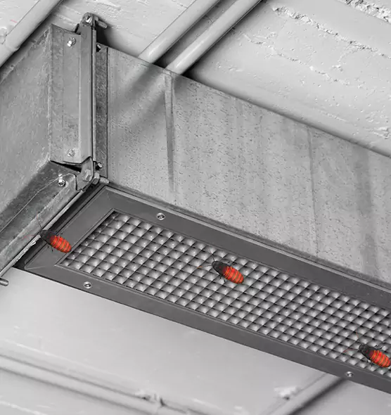Affordable Insect Removal from Air Ducts in Holt, MI