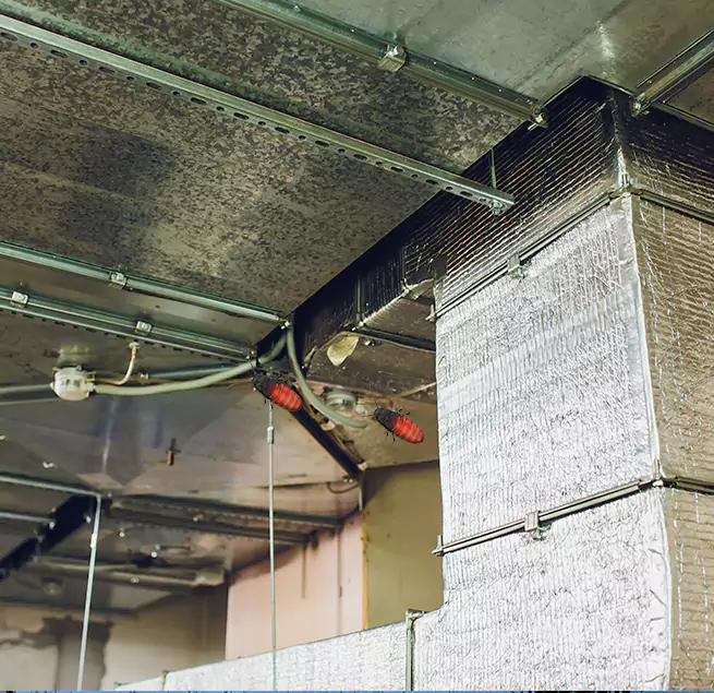 Why Homeowners & Businesses Trust Us in Holt, MI?