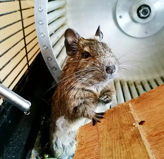 Why Homeowners & Businesses Trust Us Holt, MI