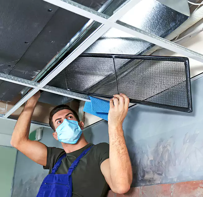 Why Homeowners Businesses Trust Us in Holt, MI