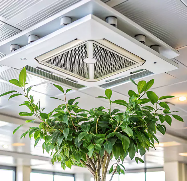 Why Homeowners & Businesses Trust Us in Holt, MI?